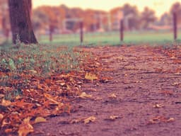 I Carabinieri presidiano il perimetro di sicurezza