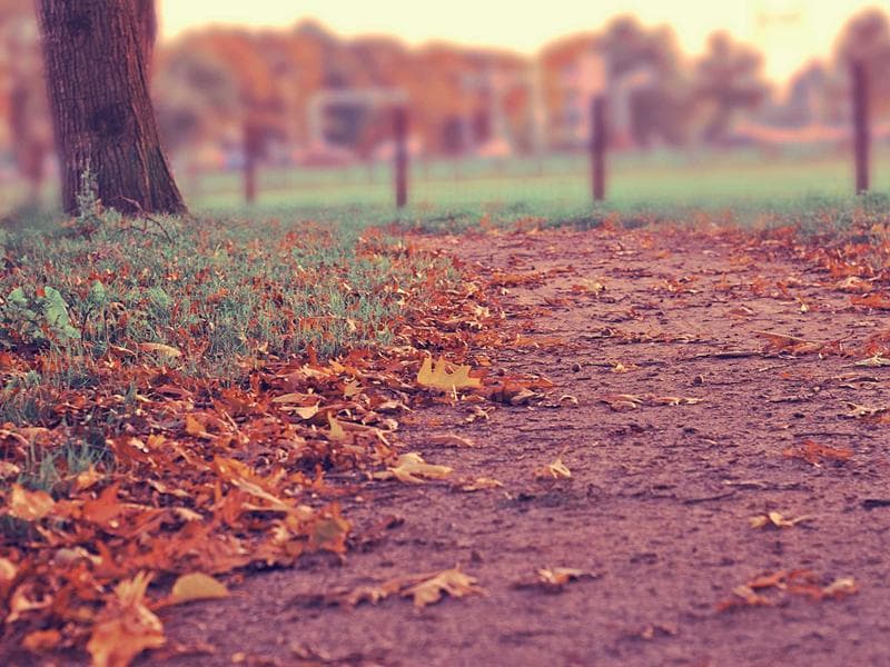 I Carabinieri presidiano il perimetro di sicurezza