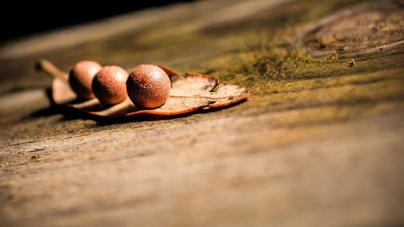 Bilancio comunale di Ivrea: approvato il preventivo 2026 con 2 milioni per le scuole