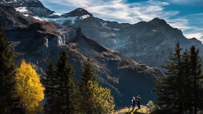 Canile di Ivrea: 15 cuccioli cercano casa, weekend di adozioni aperte
