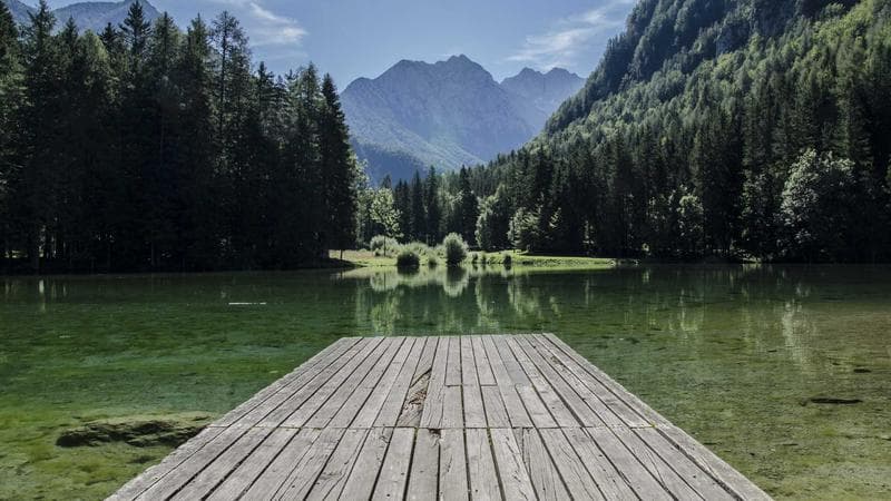 Incidente sulla SP460: due feriti e traffico in tilt per ore