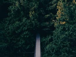 La finestra forzata dai ladri in via Roma a Salto