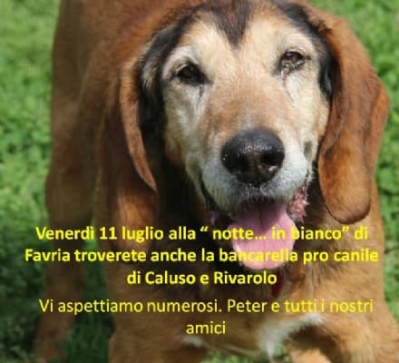 A.A.A. CERCASI SPONSOR per CALENDARIO 2015