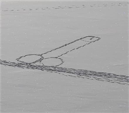 CERESOLE REALE - Nasce il concorso artistico «Falli sul ghiaccio»: iscrizioni da settembre