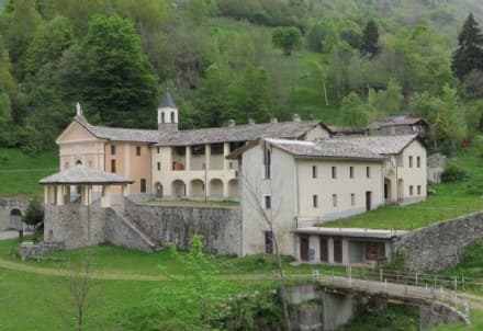 RIBORDONE-BAIRO - Nidi di vespe: intervengono i vigili del fuoco