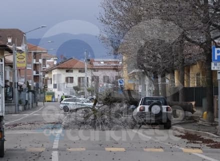 CANAVESE - Raffiche di vento a 100 chilometri orari: a Ciriè crolla una pianta e centra un'auto