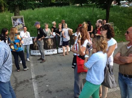 RIVAROLO - Animalisti manifestano contro il circo di Moira Orfei - FOTO e VIDEO