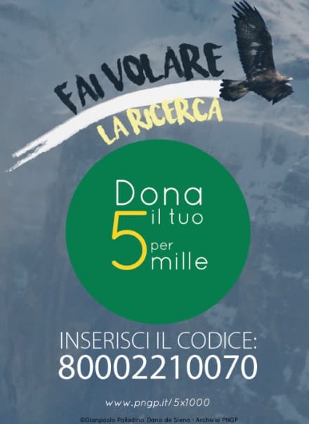 GRAN PARADISO - Il cinque per mille per le marmotte del Parco