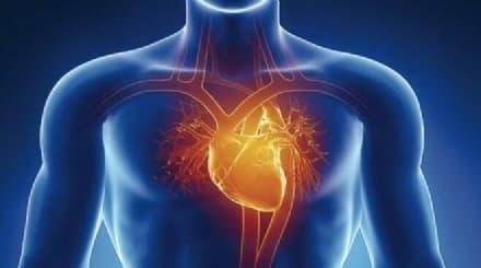 COLLERETTO GIACOSA - Medici ed esperti a confronto sulle cause dell'ictus