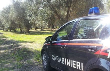 SAN CARLO CANAVESE - Armi e munizioni per assaltare i furgoni portavalori trovate in un borsone nascosto in campagna