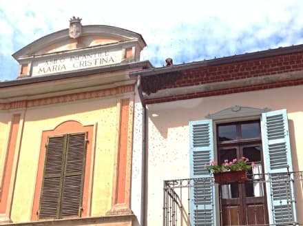 AGLIÈ - Sciame di api invade l'asilo Maria Cristina