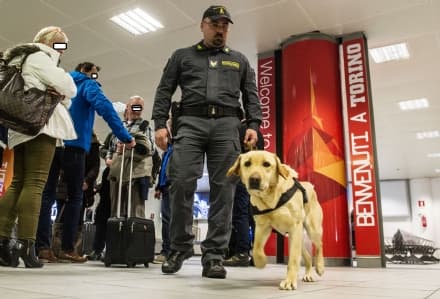 CASELLE - 200 mila euro recuperati grazie al fiuto del cane Zeby - FOTO