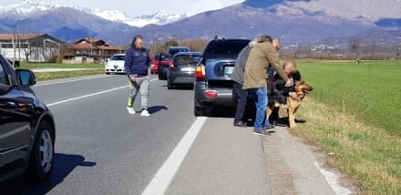 CASTELLAMONTE-OZEGNA - Traffico bloccato sulla provinciale per salvare un cane scappato da un giardino