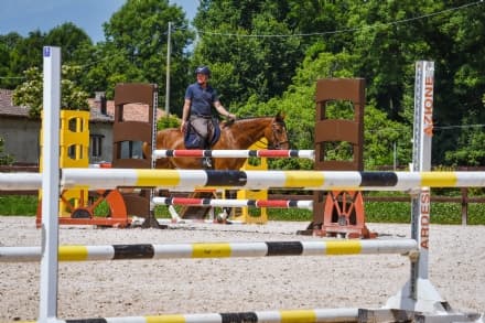 BAIRO - A giugno grandi appuntamenti sportivi al Centro Equestre Arione