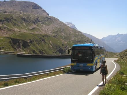 CERESOLE - Risparmiate tre tonnellate di anidride carbonica