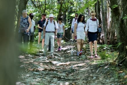 TORRE CANAVESE - Storie e leggende con Morena Stories - FOTO
