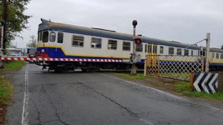 FERROVIA CANAVESANA - Bonomo: «I disservizi sui treni non sono più accettabili»