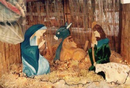 CASELLE - I ladri rubano persino il Gesù Bambino dal presepe...