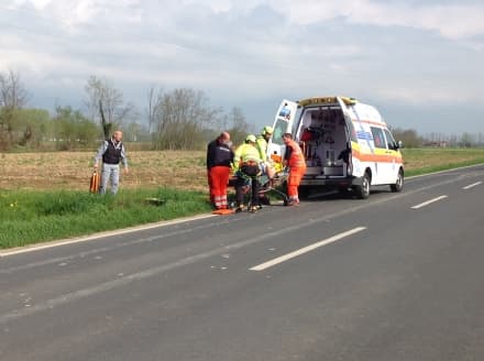 FAVRIA - Allevatore ferito da una mucca finisce al Cto - VIDEO