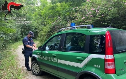 BARONE CANAVESE - I cacciatori sparano ma centrano le case: allarme in paese