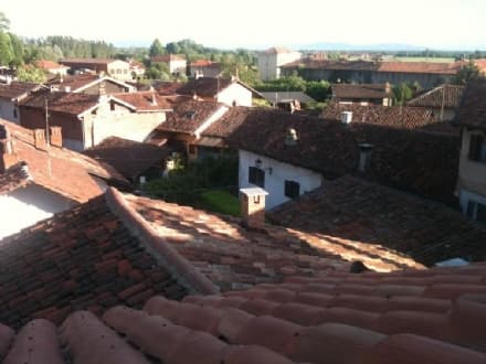 CANAVESE - Il forte vento abbatte alberi e tegole