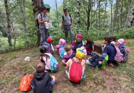 VALCHIUSELLA - Casette per salvare gli uccellini: a Issiglio grazie ai bimbi delle scuole