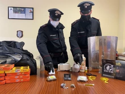 CHIVASSO - 45enne arrestato dai carabinieri di Montanaro per coltivazione e detenzione di droga