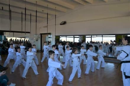 TAEKWONDO - Nuove cinture a 18 bambini e 11 adulti della Taekwondo Canavese