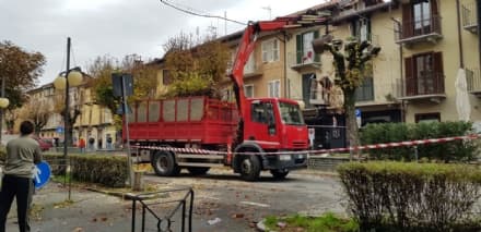 RIVAROLO - Via gli alberi di viale Berone: nessuno stop ai lavori - FOTO e VIDEO