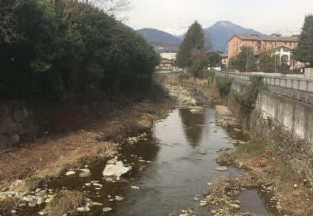 CUORGNE' - Lavori al Gallenca contro possibili esondazioni - FOTO