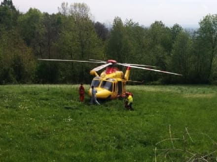 CASTELLAMONTE - Si taglia con la motosega: uomo ricoverato al Cto
