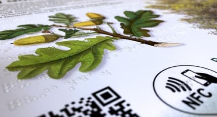 CANAVESE - Insegne in braille e mappe sensoriali per per rendere accessibile il territorio - FOTO