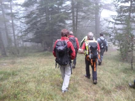 TORRE CANAVESE - Nonnina dispersa nei boschi: ha vagato per tutta la notte