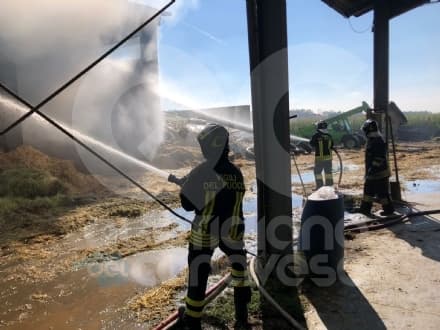 RIVAROLO CANAVESE - Incendio ad Argentera: mucche in salvo, ora bisogna trovare il fieno - FOTO