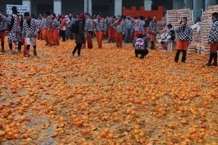 IVREA - Le arance del Carnevale diventano concimi: quando lo «spreco» genera risorse