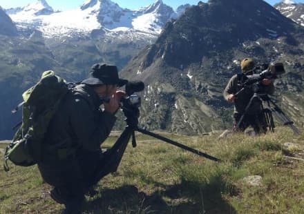 GRAN PARADISO - La Bbc e la tv giapponese al lavoro nel Parco