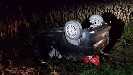 RIVAROLO-BOSCONERO - Incidente sulla 460: cinghiale investito e auto ribaltata. Due ragazzi di Favria e Feletto feriti - FOTO E VIDEO