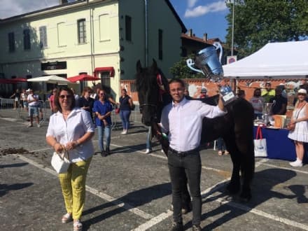 IVREA - San Savino 2021: trofei e premi assegnati