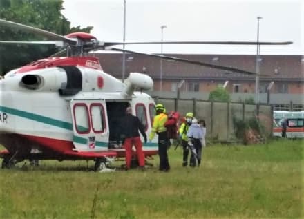 MAPPANO - Due cani mordono una bimba: il proprietario denunciato dai carabinieri