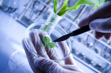 IVREA - Biotecnologie: via libera della Regione al corso post diploma