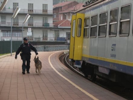 TORINO-CERES - Controlli antidroga dei carabinieri sui treni degli studenti tra Ciriè e Lanzo