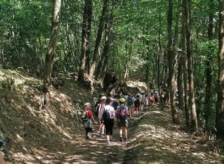 CUCEGLIO - Ripuliti i sentieri che portano a Pianezze