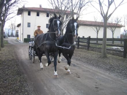 FAVRIA - Addio a Carlo Ferrando Battistà della «Ferrando Cavalli»