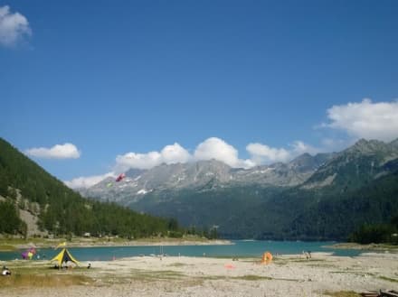 CERESOLE REALE - «Rifugio d'artista»: da tutta Italia per esibirsi nel guscio del PalaMila