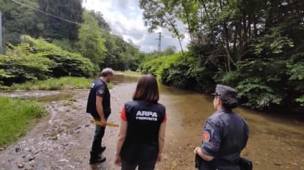CANAVESE - Siccità, controlli di carabinieri forestali e Arpa
