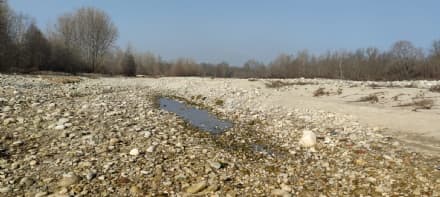 CANAVESE - Siccità, Coldiretti: «Perso il 50% delle produzioni in campo»