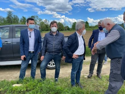 CANAVESE - Danni dei cinghiali, sopralluogo dell'assessore regionale. Gli agricoltori: «Non vogliamo rimborsi ma poter lavorare tranquilli»