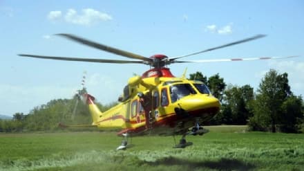 TRAVERSELLA - Dodicenne morso da una vipera vicino al rifugio Piazza