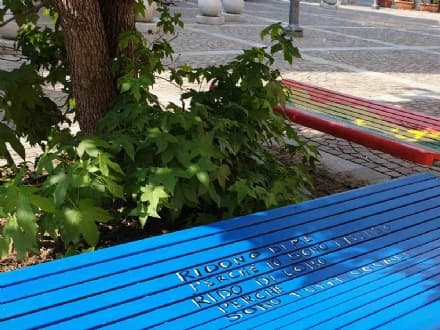 VOLPIANO - Due panchine per sensibilizzare sul problema della disabilità