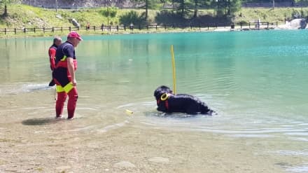 CERESOLE REALE - Anche dall'estero per i cani da salvataggio - FOTO